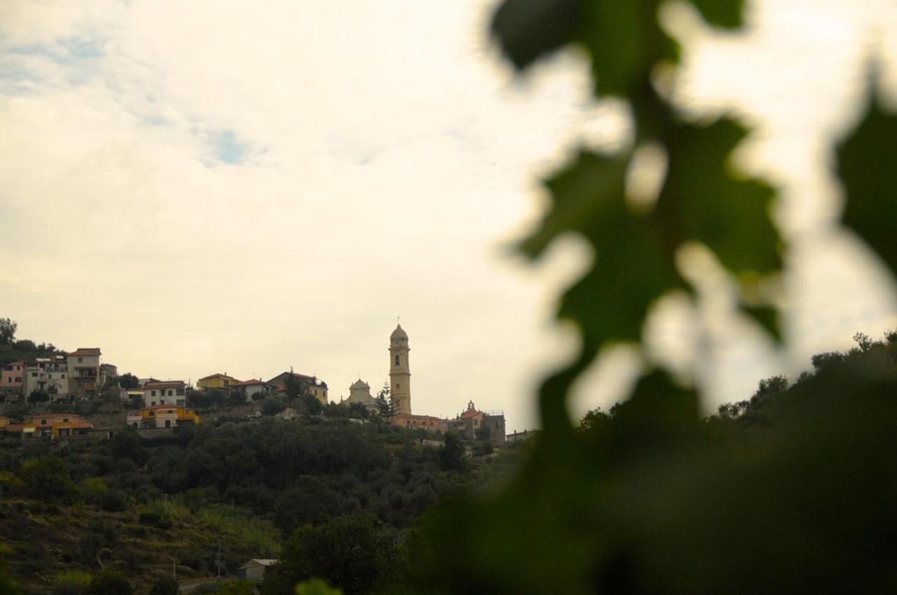La Casa Del Podere Castellaro  Εξωτερικό φωτογραφία