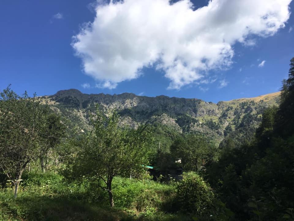 La Casa Del Podere Castellaro  Εξωτερικό φωτογραφία