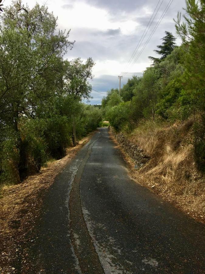 La Casa Del Podere Castellaro  Εξωτερικό φωτογραφία